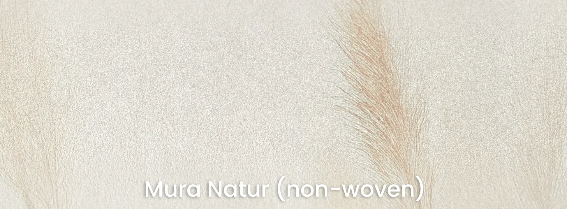 Zbliżenie na fototapetę IVORY SERENITY - tapeta z delikatnymi trawami na beżowym tle na naturalnym podłożu ekologicznym.