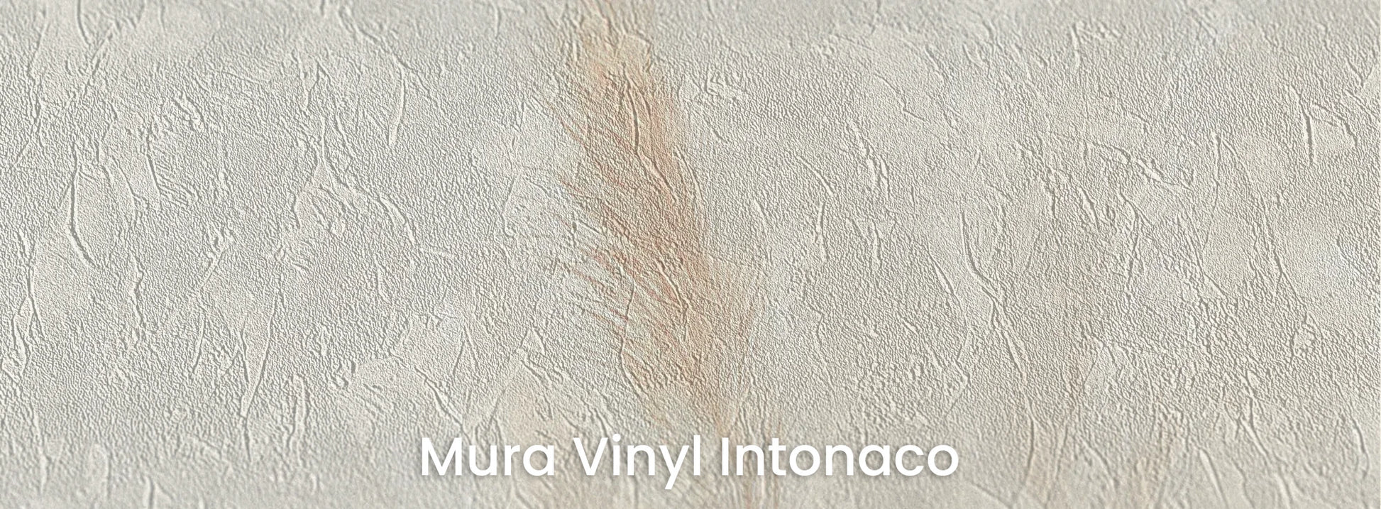 Zbliżenie na fototapetę IVORY SERENITY - tapeta z delikatnymi trawami na beżowym tle na podłożu o strukturze tartego tynku.