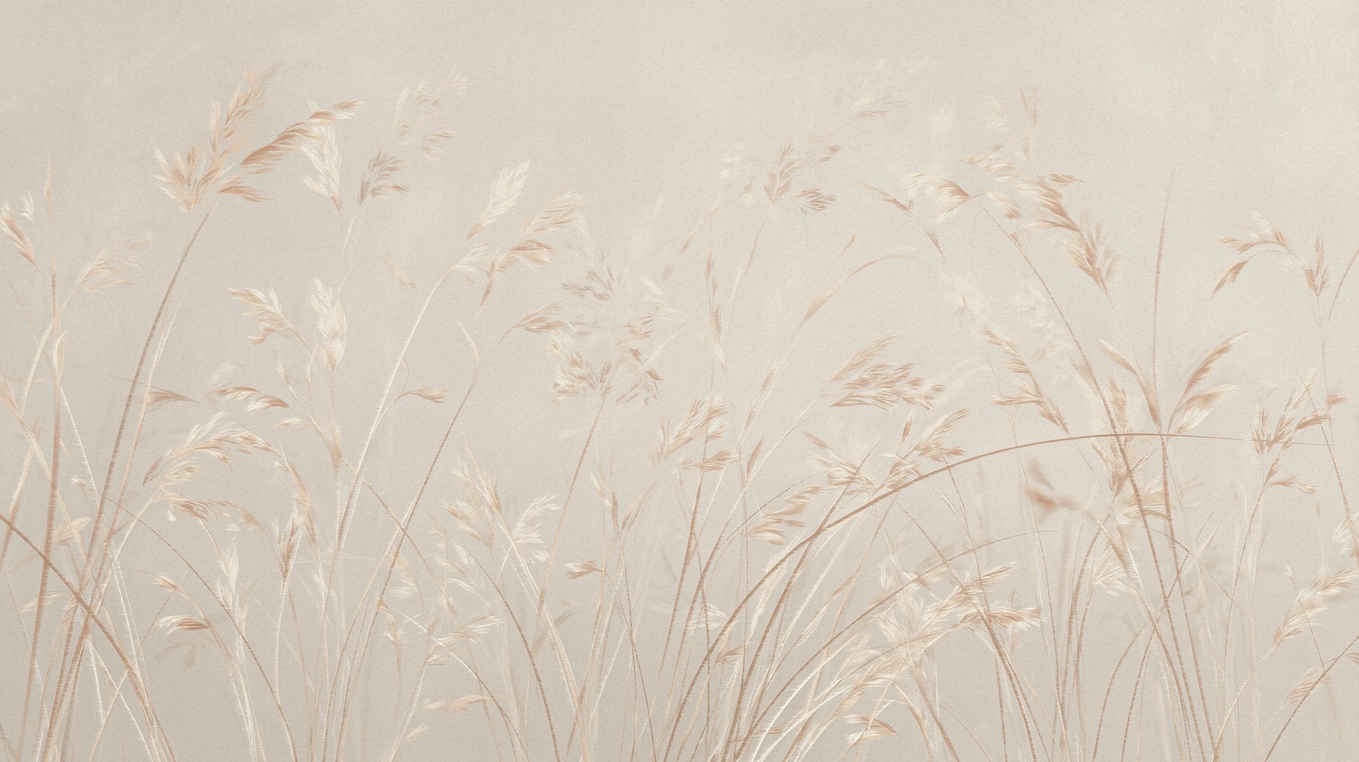 Prezentacja całego wzoru fototapety o nazwie PLATINUM BREEZE - tapeta z delikatnymi źdźbłami traw w jasnych beżach