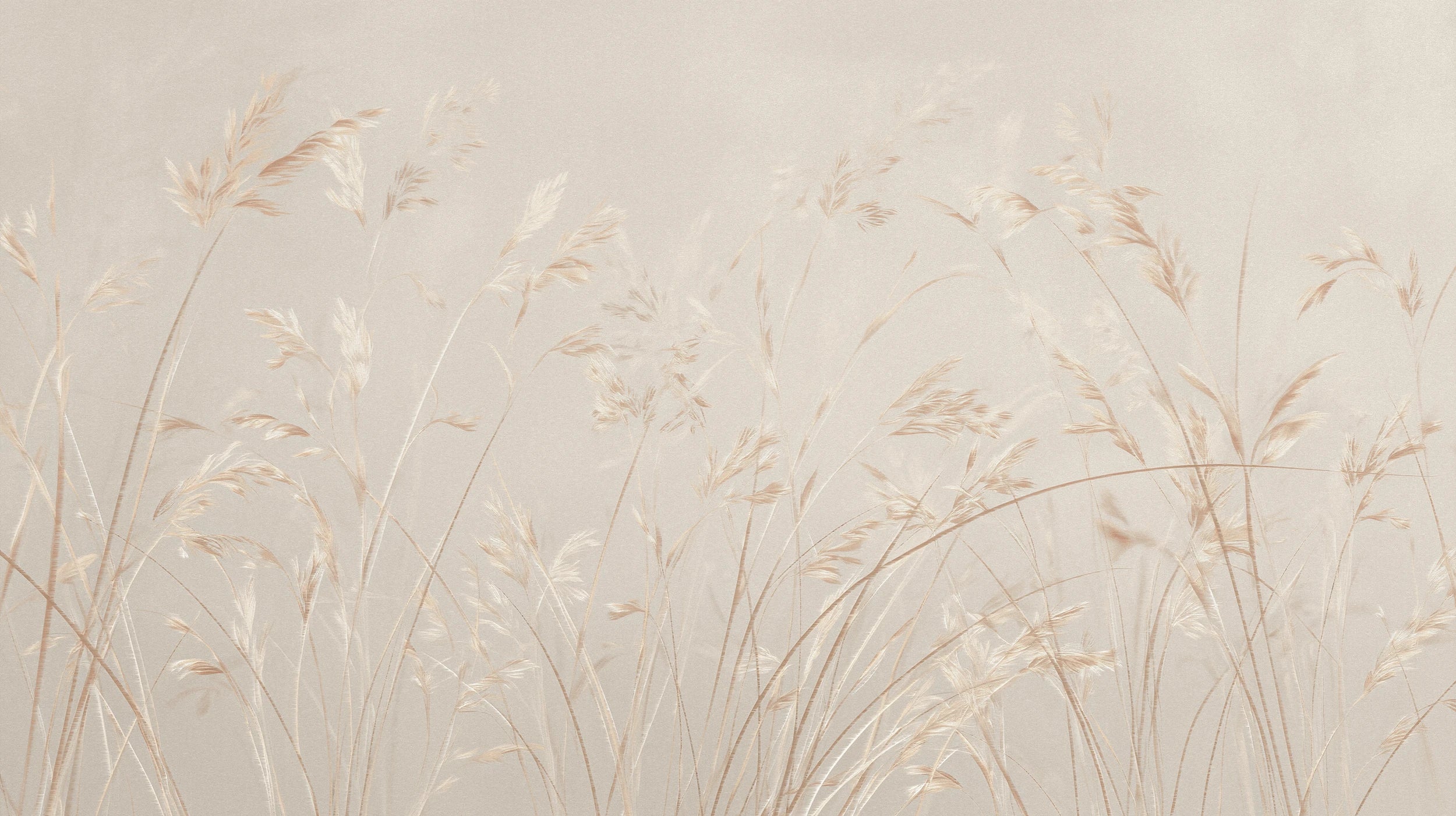 Mustervorschau: Prezentacja całego wzoru fototapety o nazwie PLATINUM BREEZE - tapeta z delikatnymi źdźbłami traw w jasnych beżach