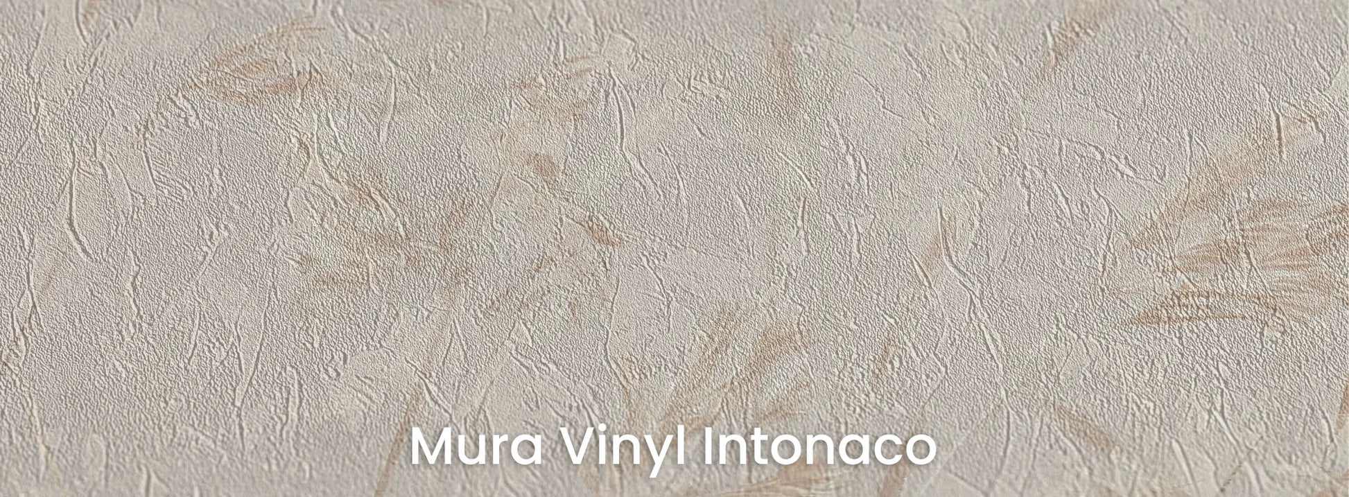 Zbliżenie na fototapetę PLATINUM BREEZE - tapeta z delikatnymi źdźbłami traw w jasnych beżach na podłożu o strukturze tartego tynku.