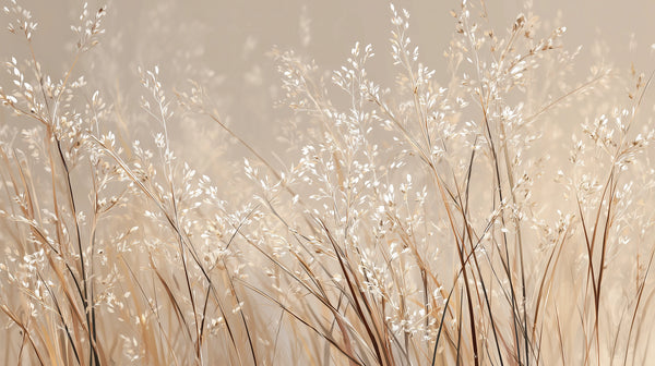 PLUMES DE PERLE - Papier peint de prairie brumeuse avec des herbes délicates dans des teintes crème