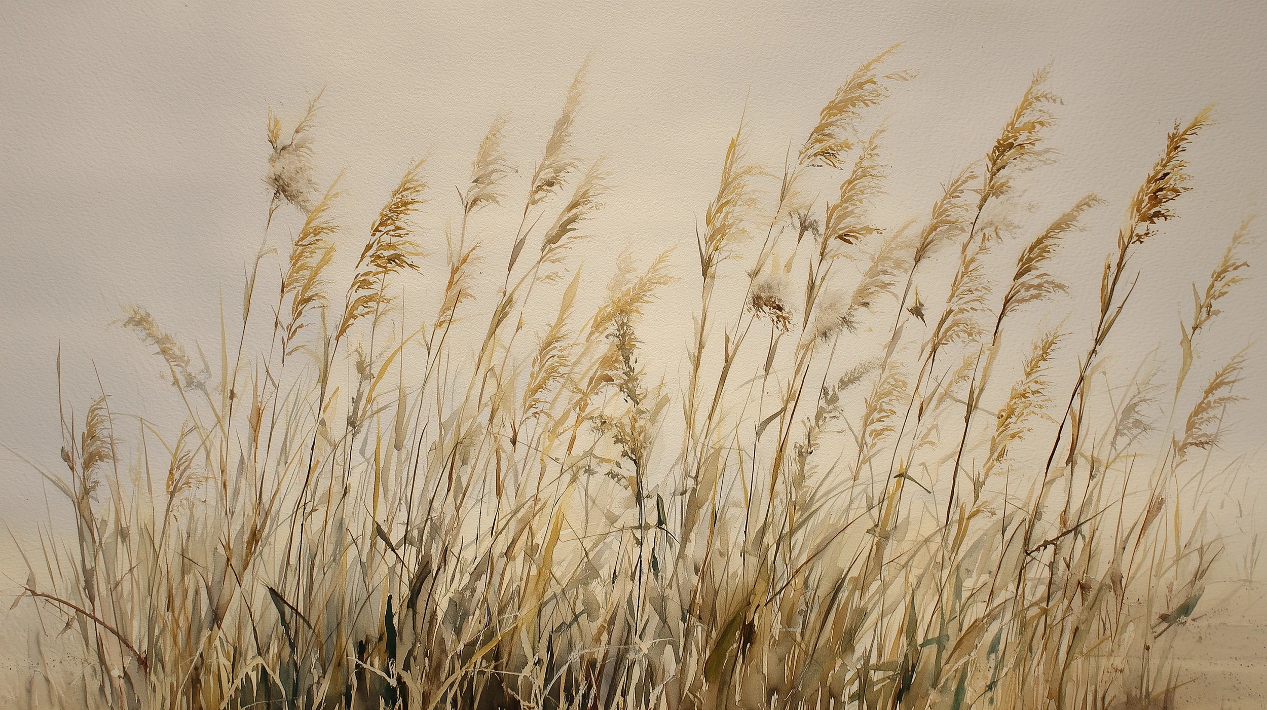 Mustervorschau: Prezentacja całego wzoru fototapety o nazwie DUNE BALLET - tapeta z beżowymi trawami w naturalnej kompozycji