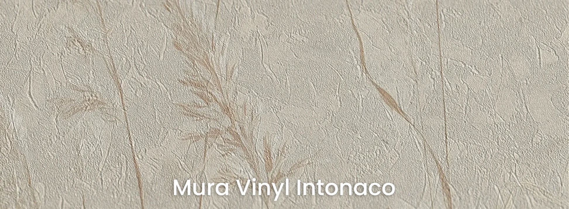 Zbliżenie na fototapetę NATURE'S LULLABY - tapeta z delikatnymi źdźbłami traw w beżowej tonacji na podłożu o strukturze tartego tynku.