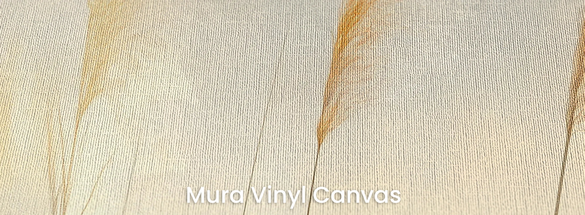 Zbliżenie na fototapetę TENDER LIGHT - tapeta z delikatnymi źdźbłami traw w złocistym świetle na podłożu o fakturze płótna.