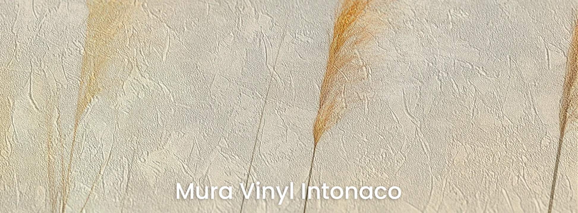 Zbliżenie na fototapetę TENDER LIGHT - tapeta z delikatnymi źdźbłami traw w złocistym świetle na podłożu o strukturze tartego tynku.