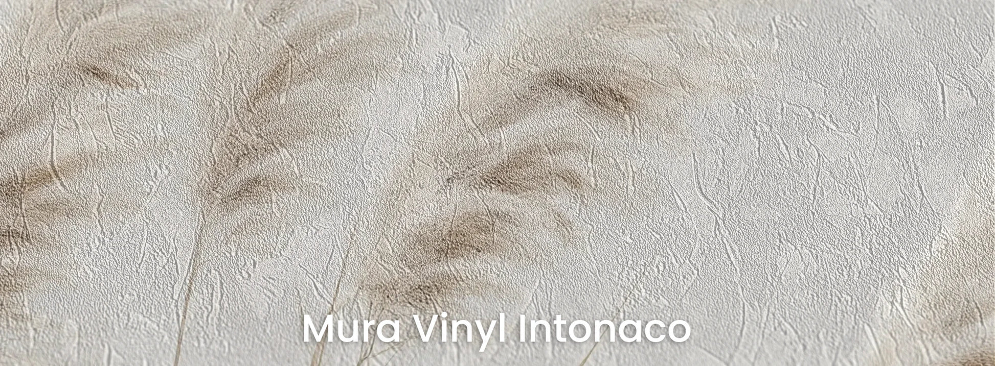 Zbliżenie na fototapetę WINDSWEPT DREAMS - tapeta z delikatnymi trawami na jasnym tle na podłożu o strukturze tartego tynku.