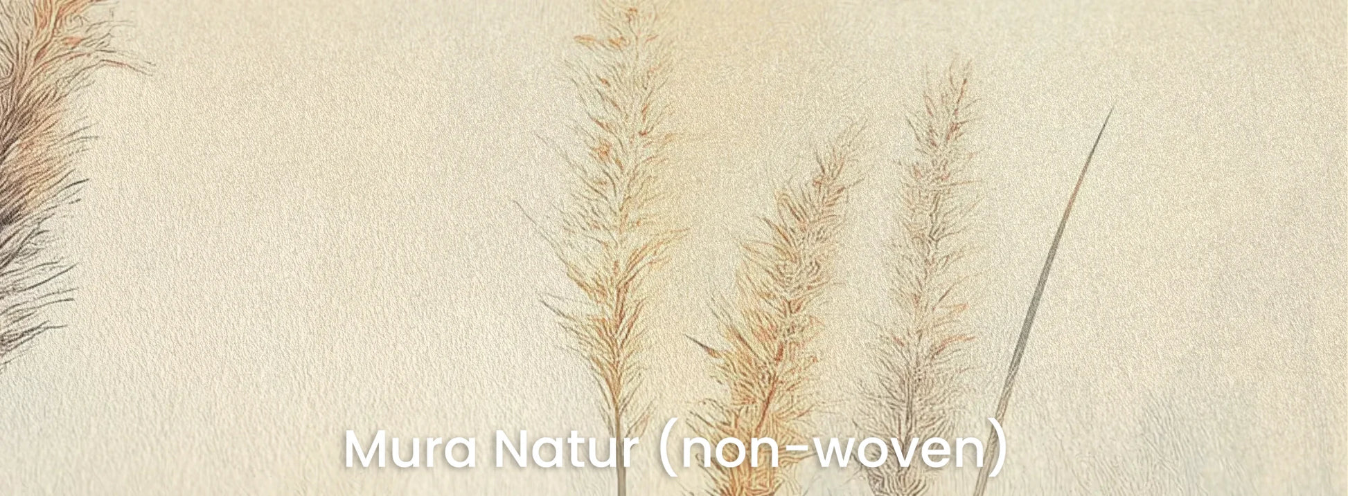 Zbliżenie na fototapetę DELICATE MEMORIES - tapeta z mglistymi trawami o świcie na naturalnym podłożu ekologicznym.