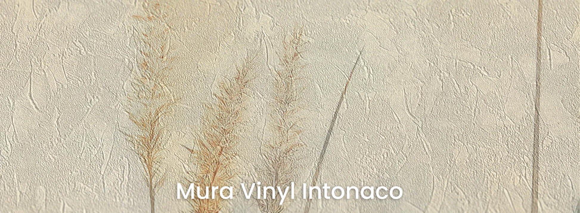 Zbliżenie na fototapetę DELICATE MEMORIES - tapeta z mglistymi trawami o świcie na podłożu o strukturze tartego tynku.