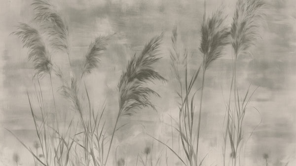 CHARCOAL RUSHES - minimalistyczna tapeta z trzciną do biura
