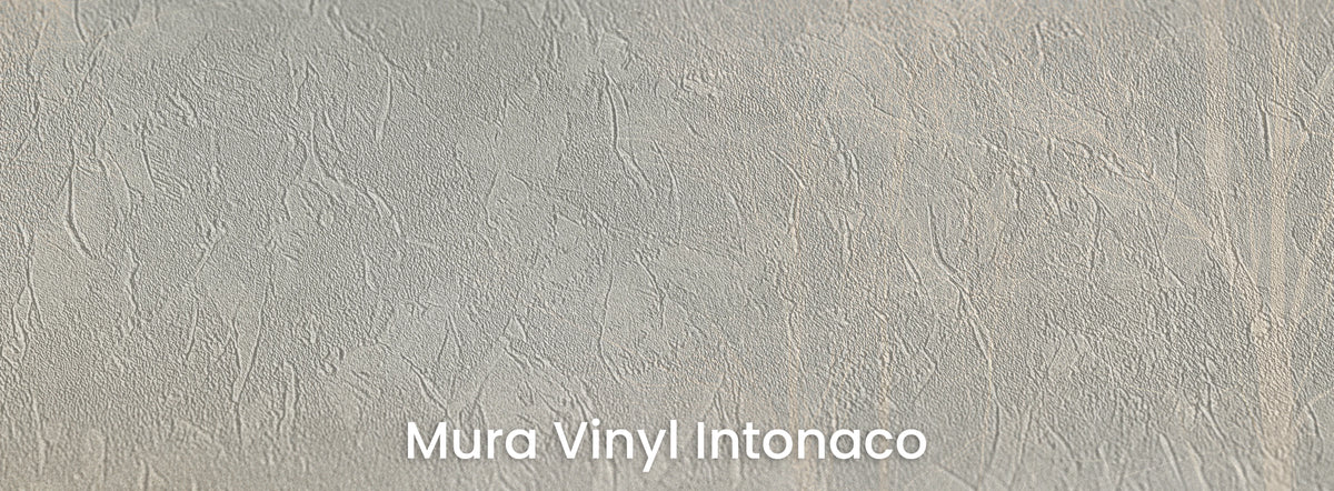 CRAQUELURE sur le support Mura Vinyl Intonaco – texture d'enduit