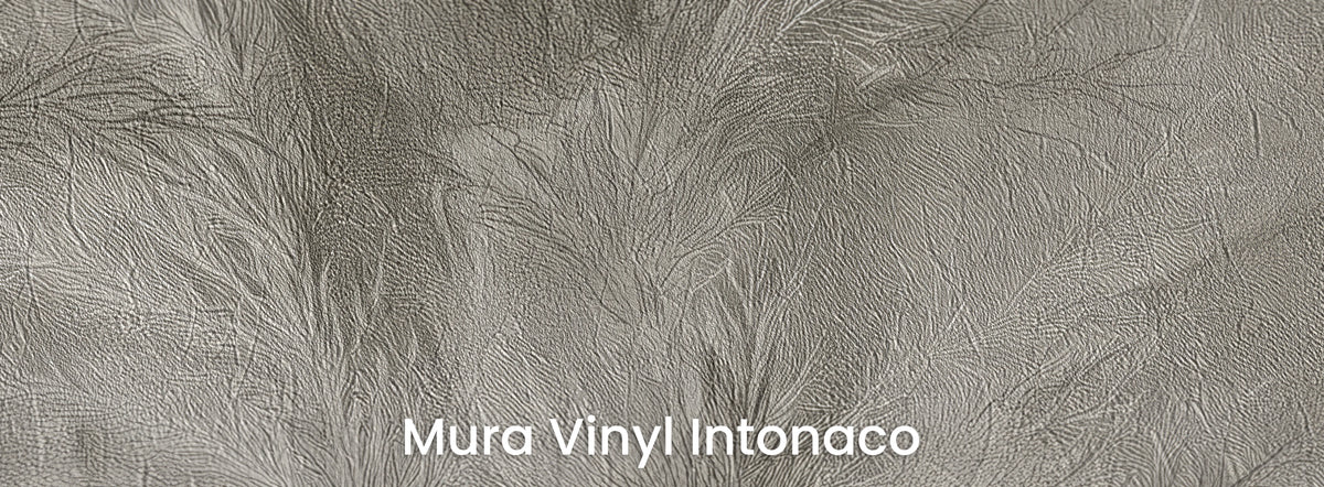 DRYPOINT su supporto Mura Vinyl Intonaco – texture di intonaco sullo sfondo nebbioso
