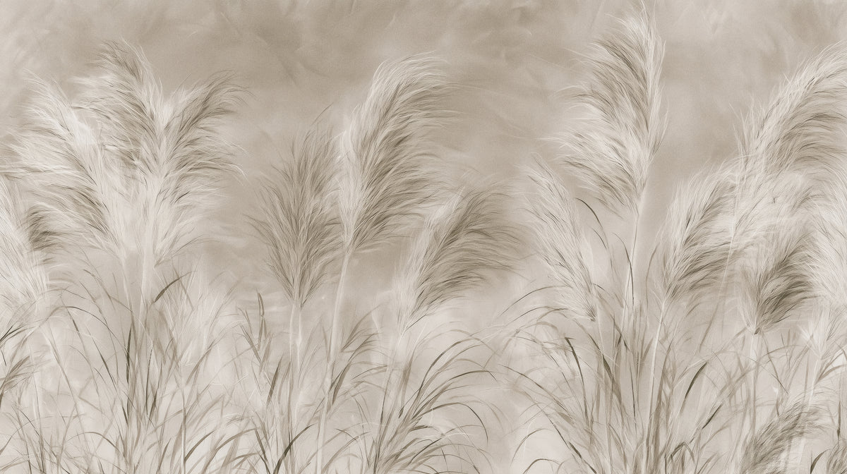 ESTANCIA EVENING – full design: cream pampas grass plumes with a sepia core on a taupe background, dense blades at the bottom