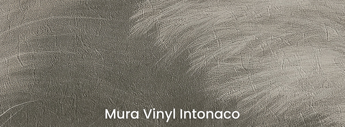 HEADWIND on Mura Vinyl Intonaco – plaster texture beneath the plumes