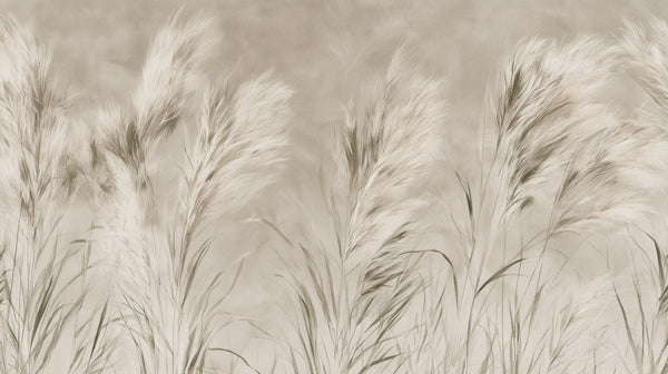 LEEWARD SWAY - carta da parati pampas al vento per l'ingresso