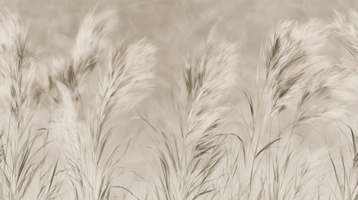 LEEWARD SWAY – ganzes Motiv: cremefarbene Pampaswedel, nach rechts geneigt, auf hellbeigem Grund