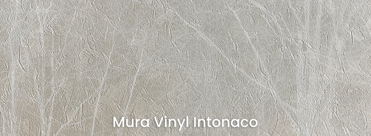 LINEN HUSH sur le support Mura Vinyl Intonaco, texture d'enduit taloché