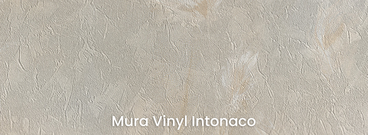 PAINTED PAMPAS sur support Mura Vinyl Intonaco – texture d'enduit