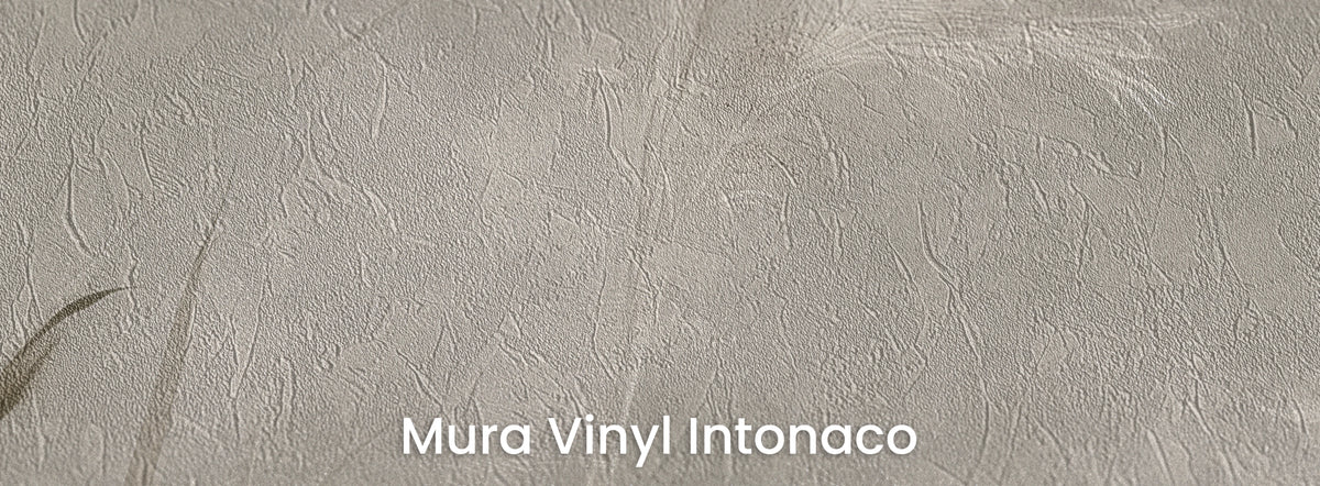 PLUME CHORUS na podłożu Mura Vinyl Intonaco – faktura tynku
