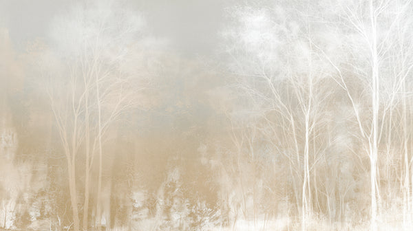 RIME BOUGHS - fotomurale bosco chiaro nella nebbia per hotel e spa