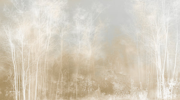 STILL GLADE - radura nella nebbia con alberi bianchi per sala da pranzo