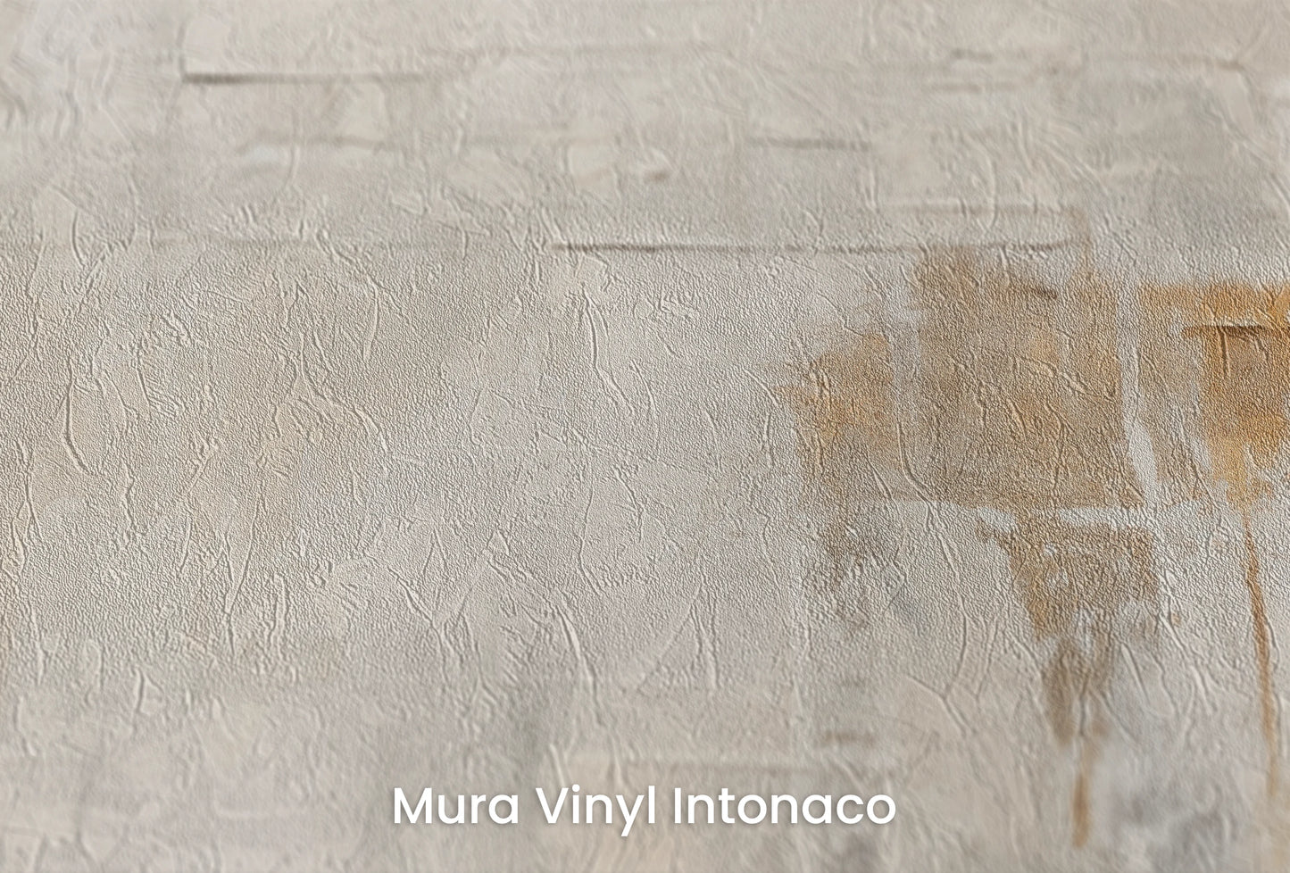 Zbliżenie na artystyczną fototapetę o nazwie Reflective Echo na podłożu Mura Vinyl Intonaco - struktura tartego tynku.