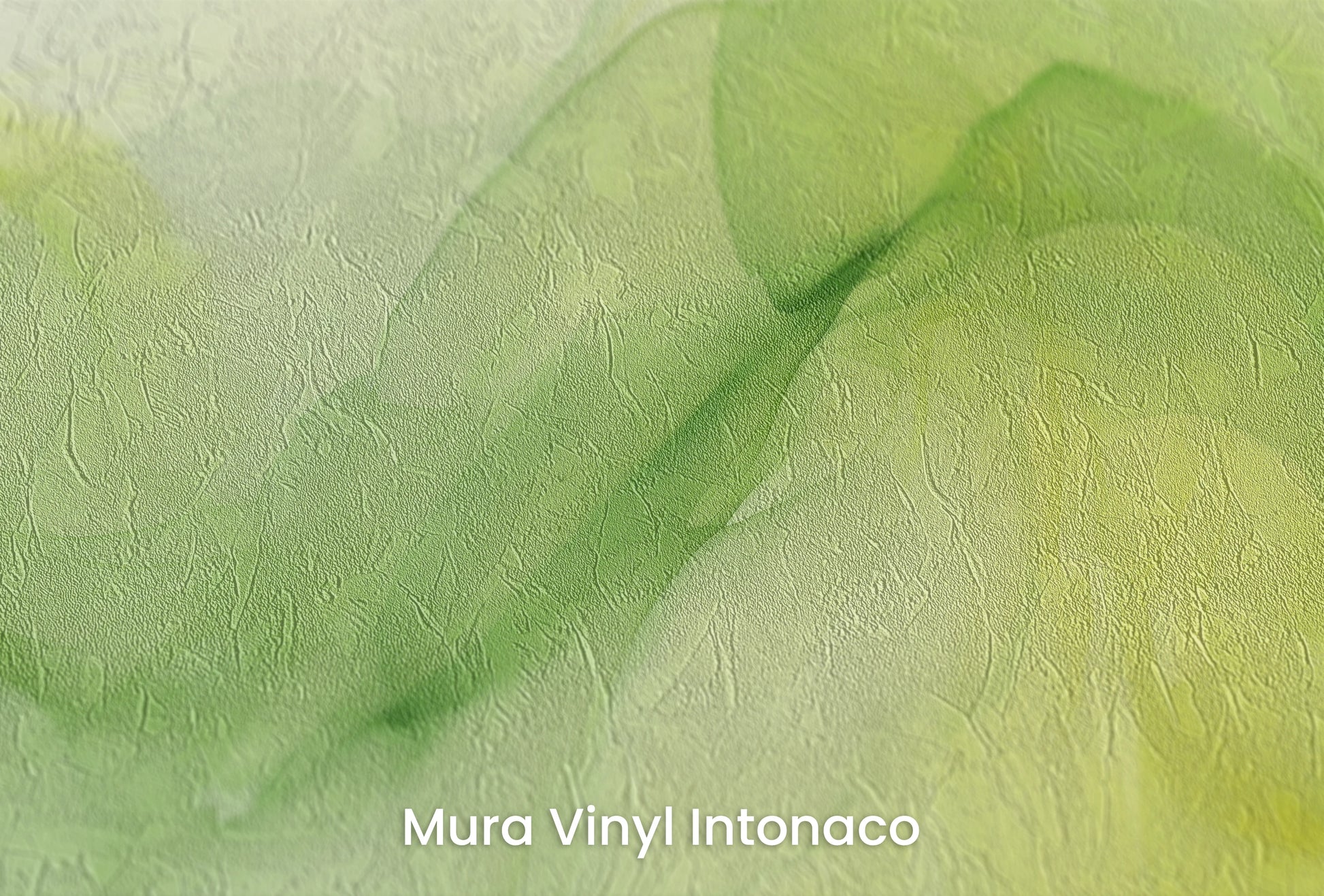 Zbliżenie na artystyczną fototapetę o nazwie Harmonia Ogrodu na podłożu Mura Vinyl Intonaco - struktura tartego tynku.