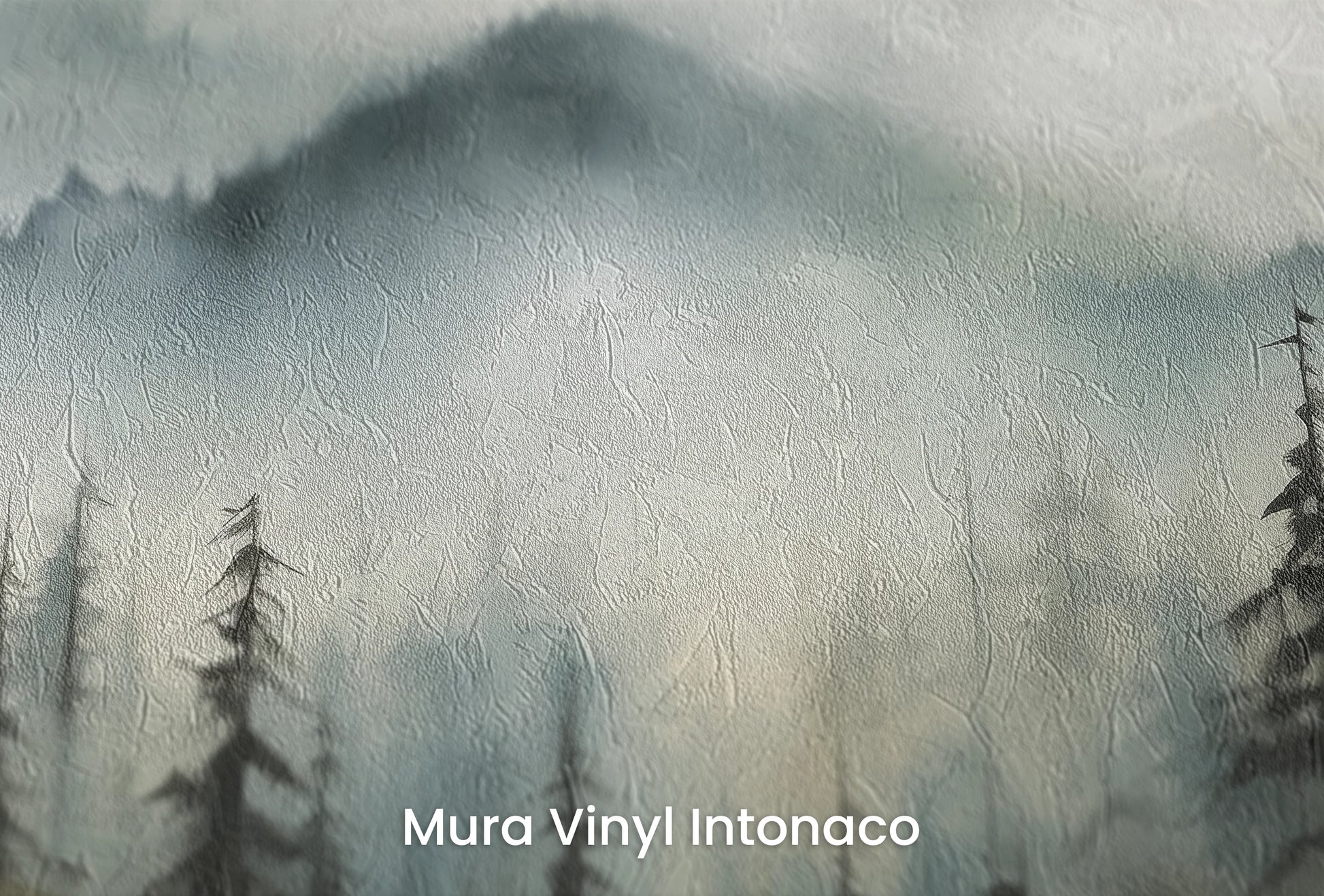 Zbliżenie na artystyczną fototapetę o nazwie Shadowed Valley na podłożu Mura Vinyl Intonaco - struktura tartego tynku.