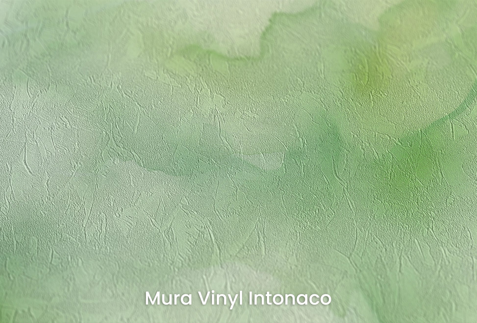 Zbliżenie na artystyczną fototapetę o nazwie Poranna Rosnica na podłożu Mura Vinyl Intonaco - struktura tartego tynku.