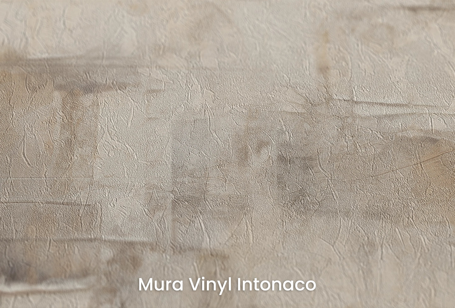 Zbliżenie na artystyczną fototapetę o nazwie Monochrome Palette na podłożu Mura Vinyl Intonaco - struktura tartego tynku.