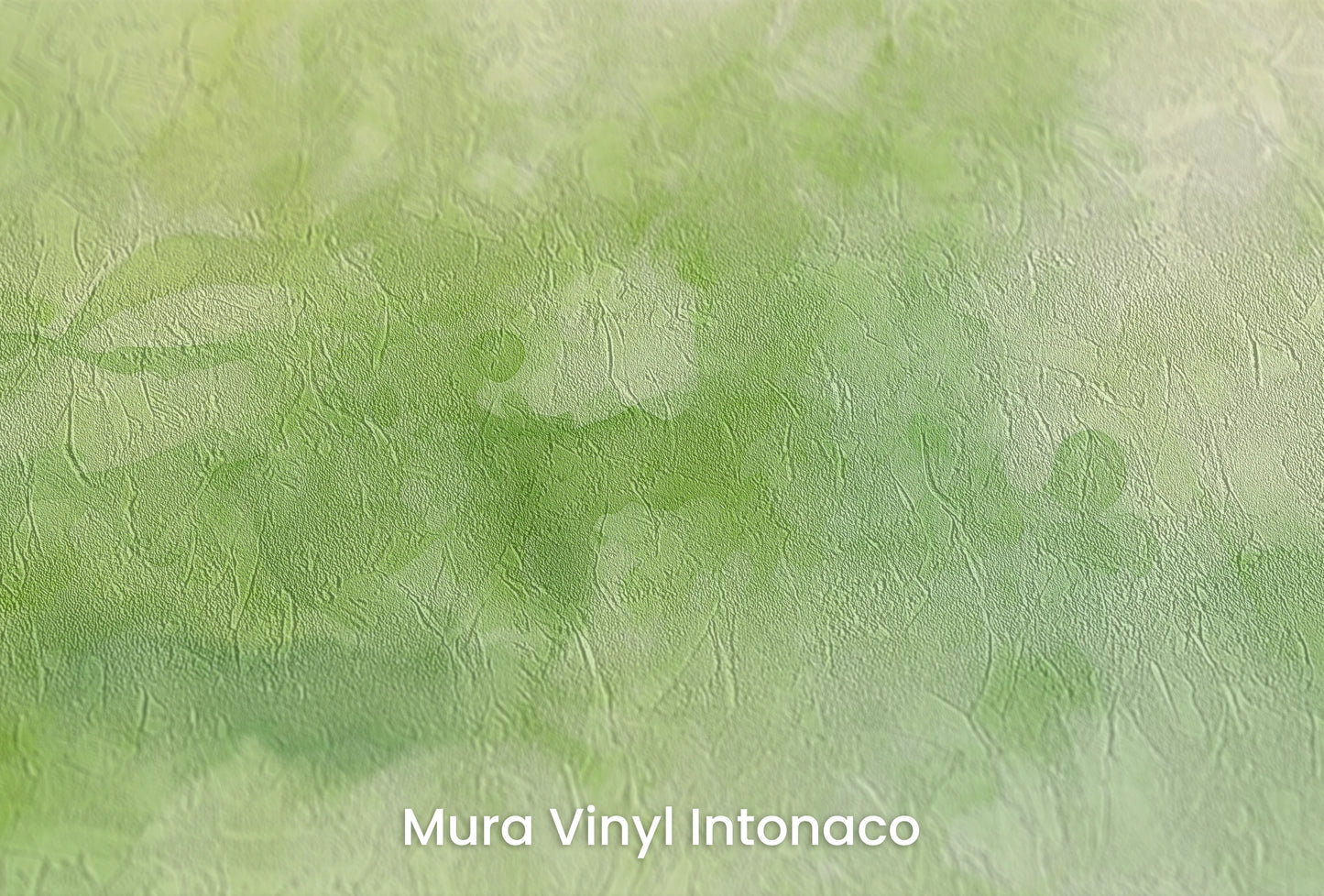 Zbliżenie na artystyczną fototapetę o nazwie Leśna Mgła na podłożu Mura Vinyl Intonaco - struktura tartego tynku.