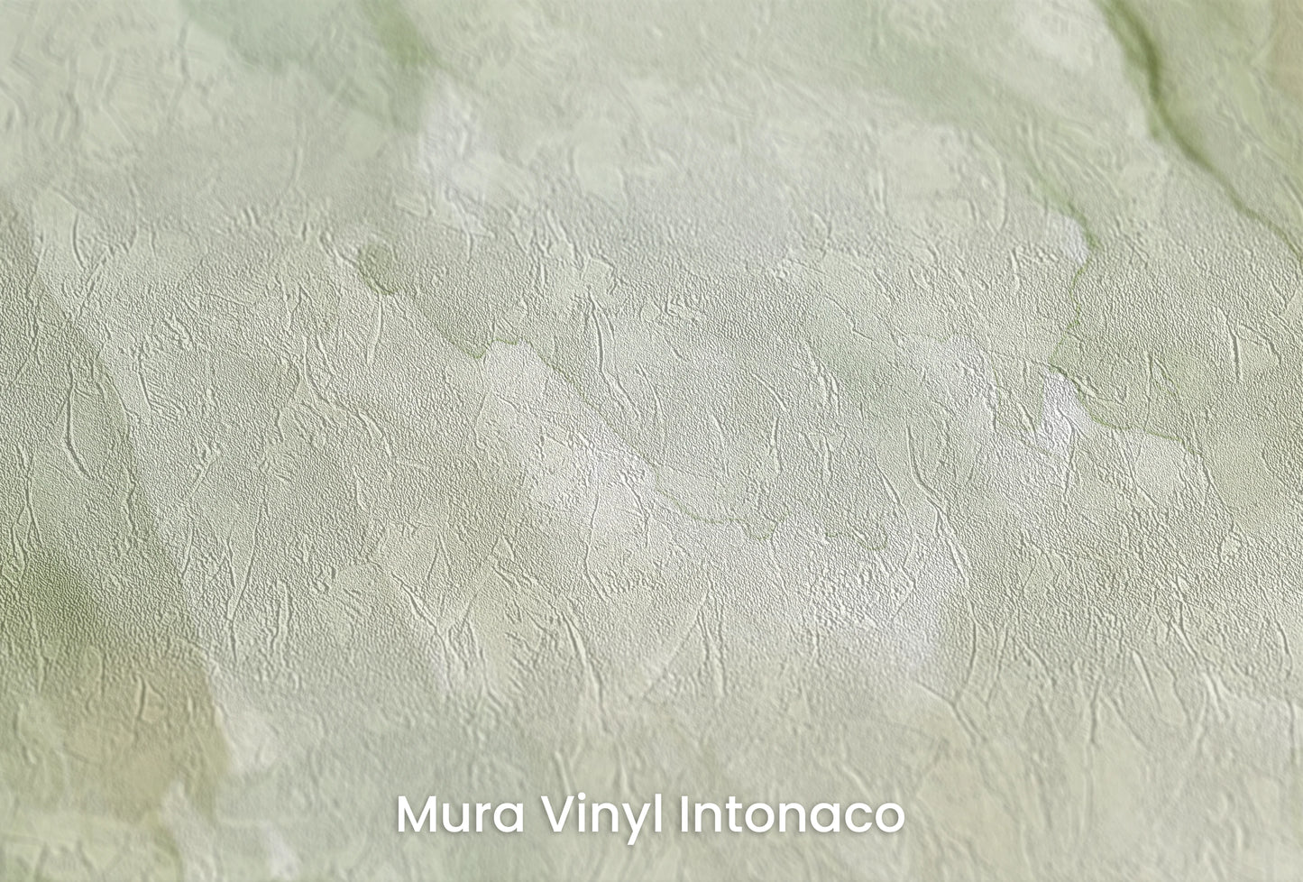 Zbliżenie na artystyczną fototapetę o nazwie Kamienne Echa na podłożu Mura Vinyl Intonaco - struktura tartego tynku.