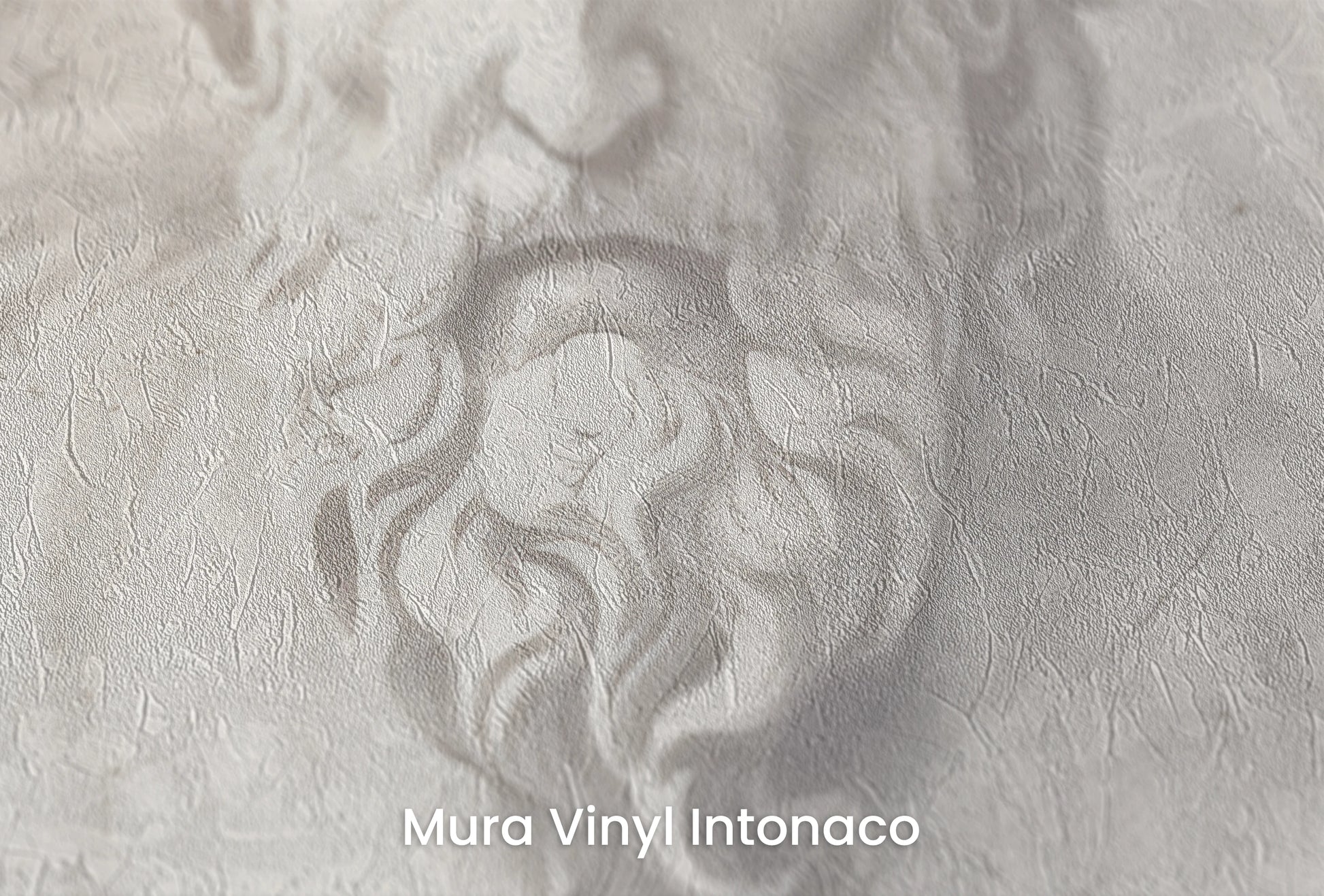 Zbliżenie na artystyczną fototapetę o nazwie Marble Pantheon na podłożu Mura Vinyl Intonaco - struktura tartego tynku.