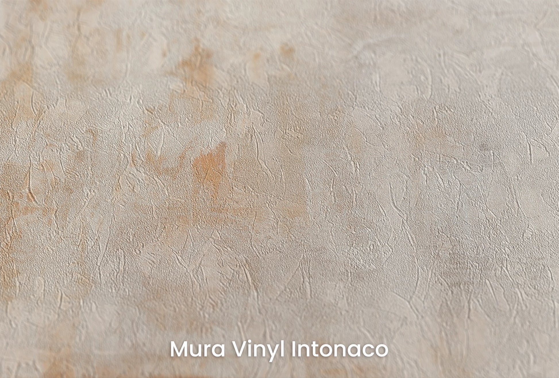 Zbliżenie na artystyczną fototapetę o nazwie Warm Minimalism na podłożu Mura Vinyl Intonaco - struktura tartego tynku.