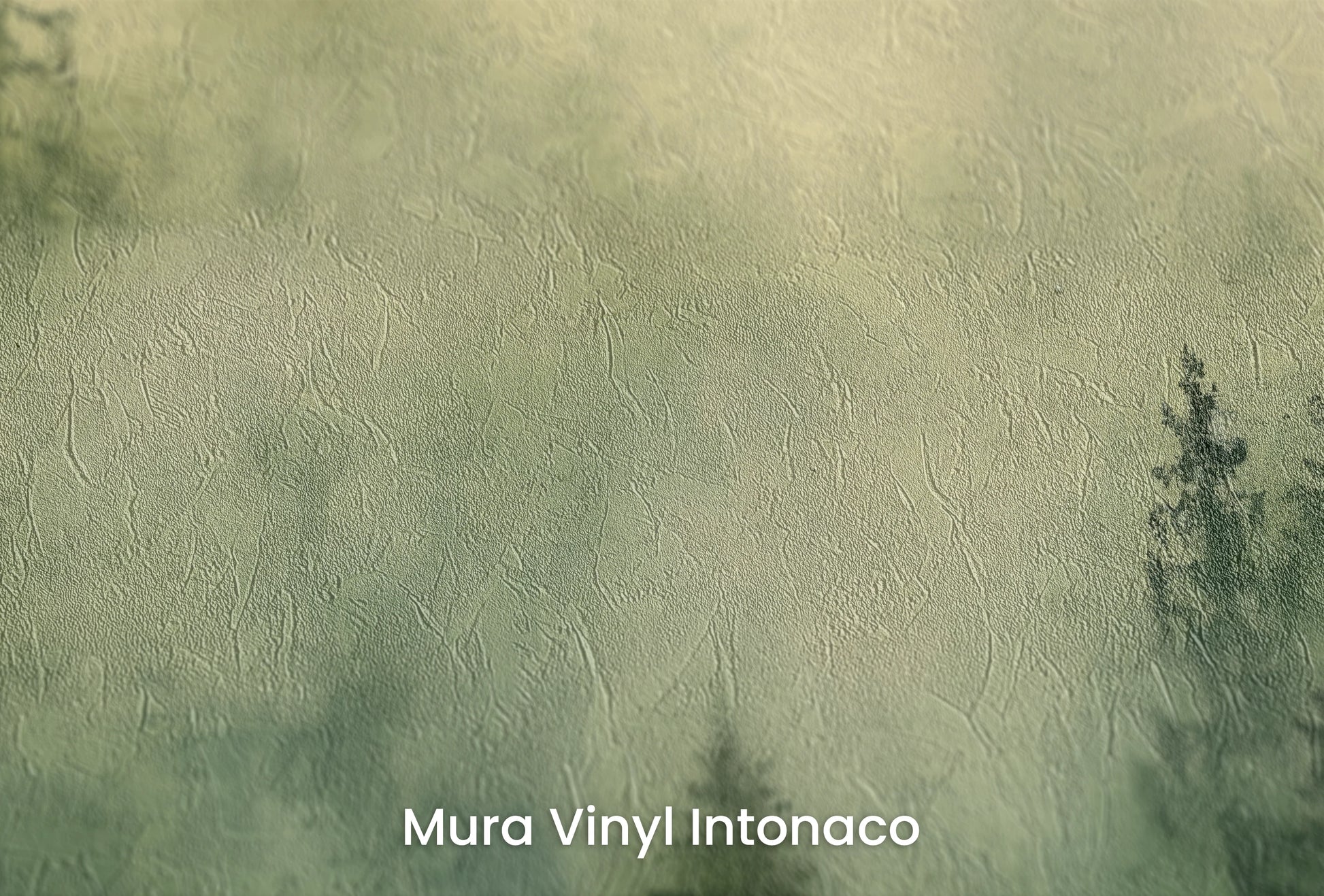 Zbliżenie na artystyczną fototapetę o nazwie Złocisty Las na podłożu Mura Vinyl Intonaco - struktura tartego tynku.