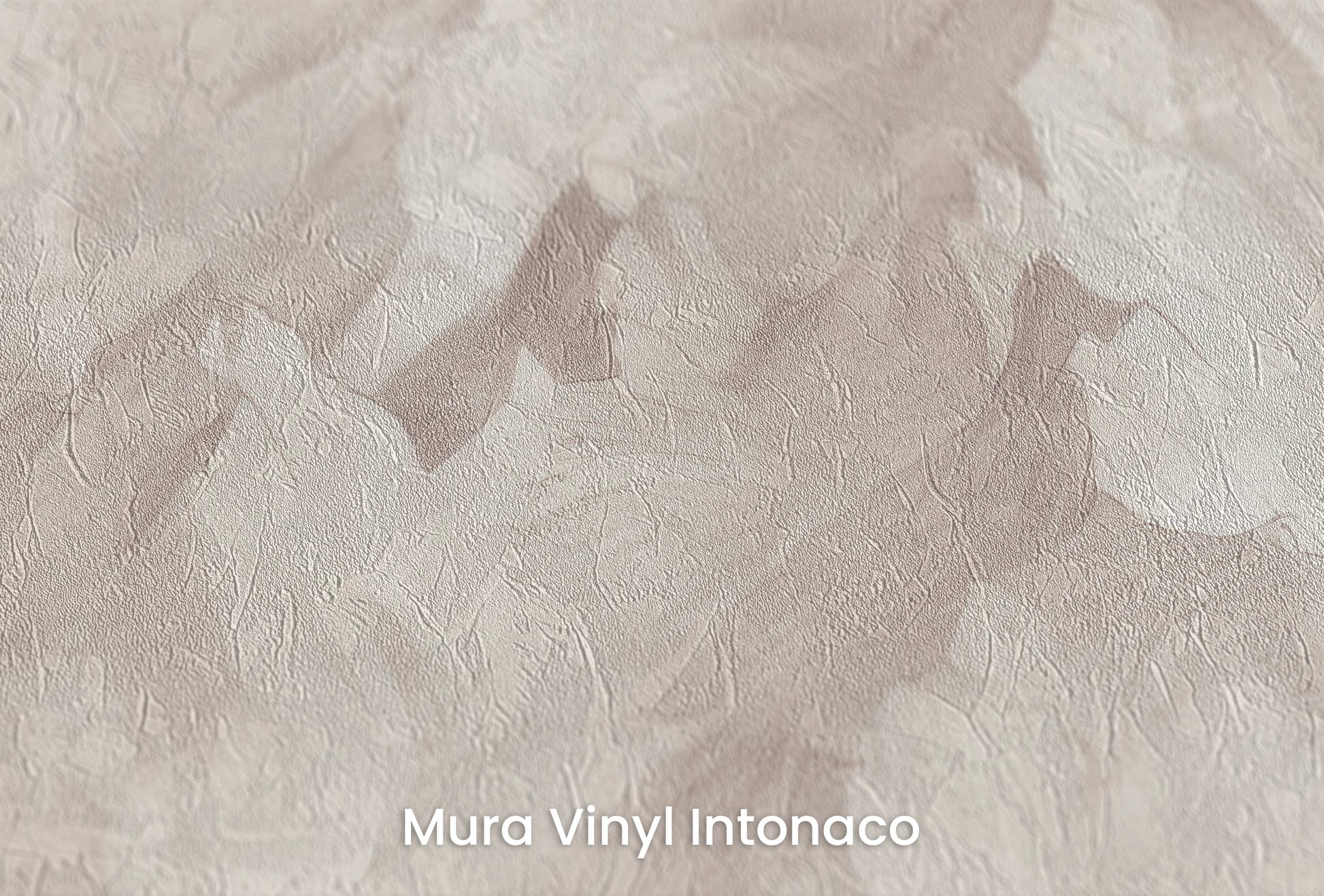 Zbliżenie na artystyczną fototapetę o nazwie Monochrome Majesty #2 na podłożu Mura Vinyl Intonaco - struktura tartego tynku.