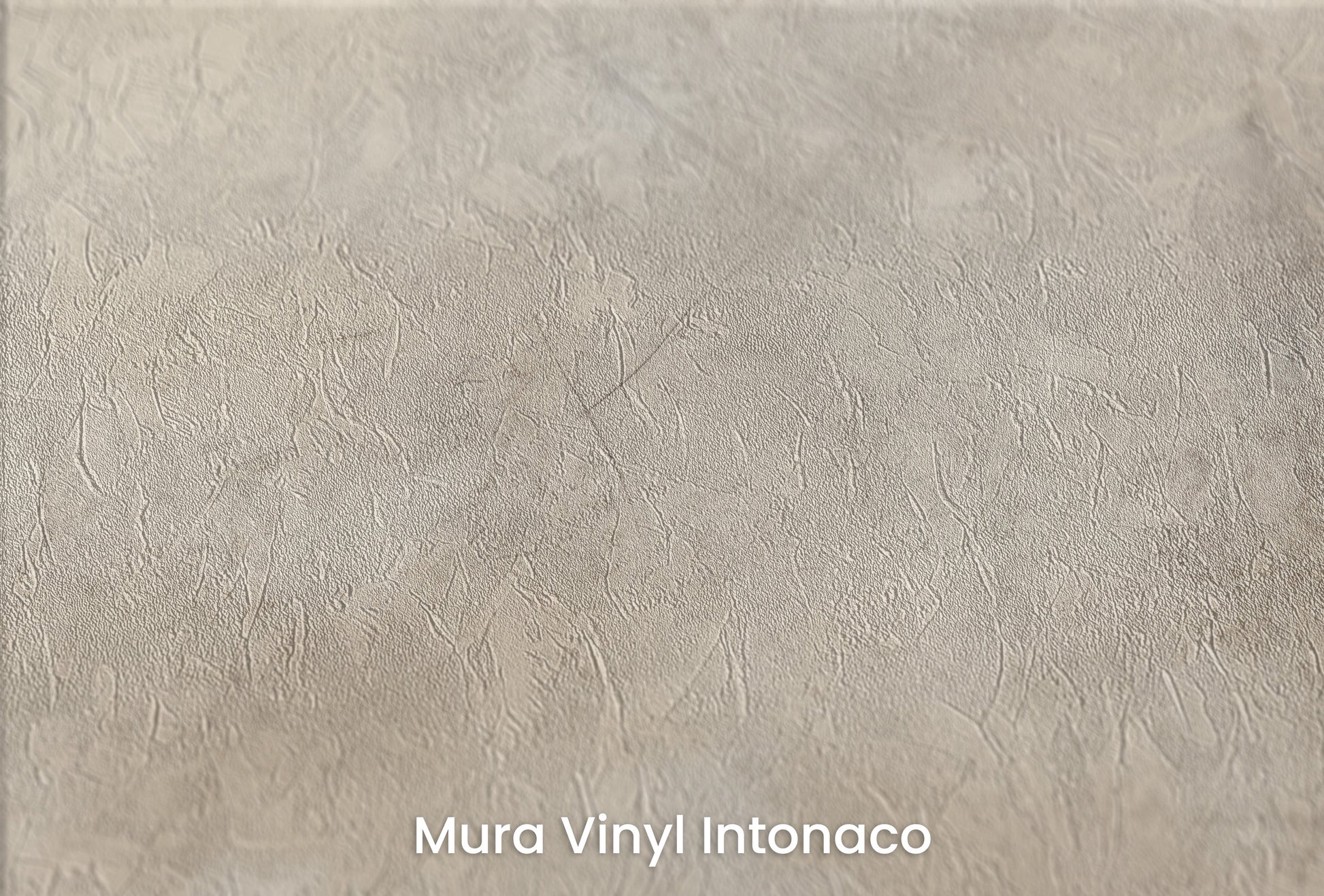 Zbliżenie na artystyczną fototapetę o nazwie ETHEREAL SKY DANCE na podłożu Mura Vinyl Intonaco - struktura tartego tynku.