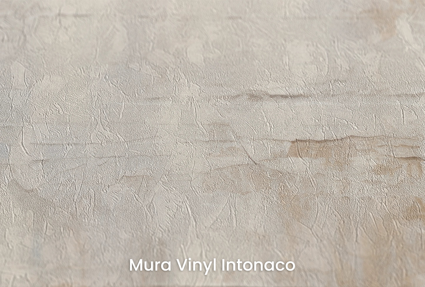 Zbliżenie na artystyczną fototapetę o nazwie Pale Elegance na podłożu Mura Vinyl Intonaco - struktura tartego tynku.