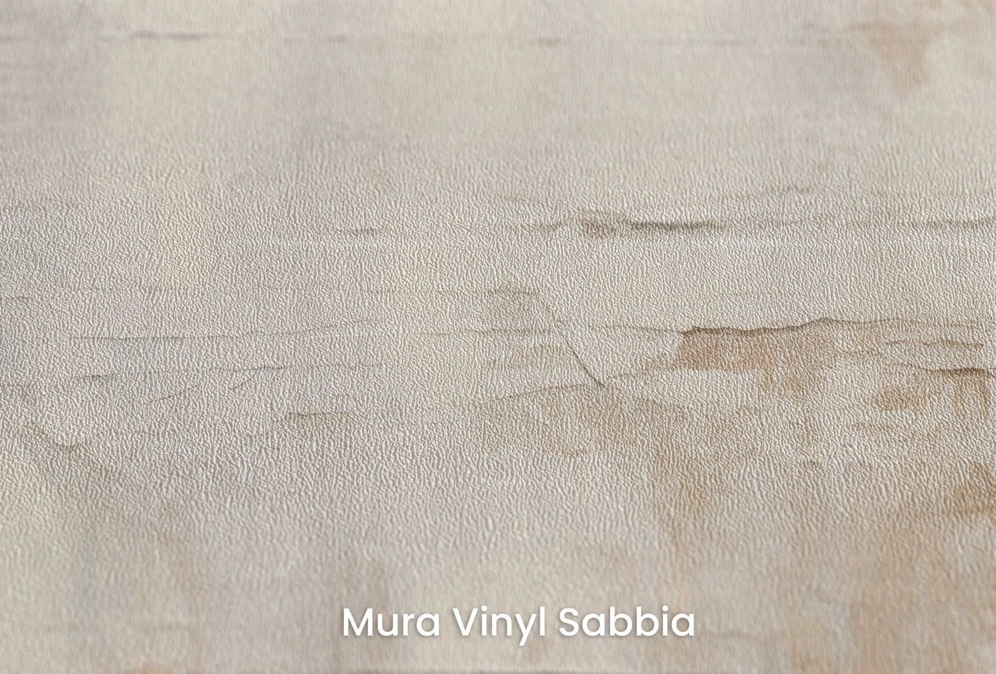 Zbliżenie na artystyczną fototapetę o nazwie Pale Elegance na podłożu Mura Vinyl Sabbia struktura grubego ziarna piasku.
