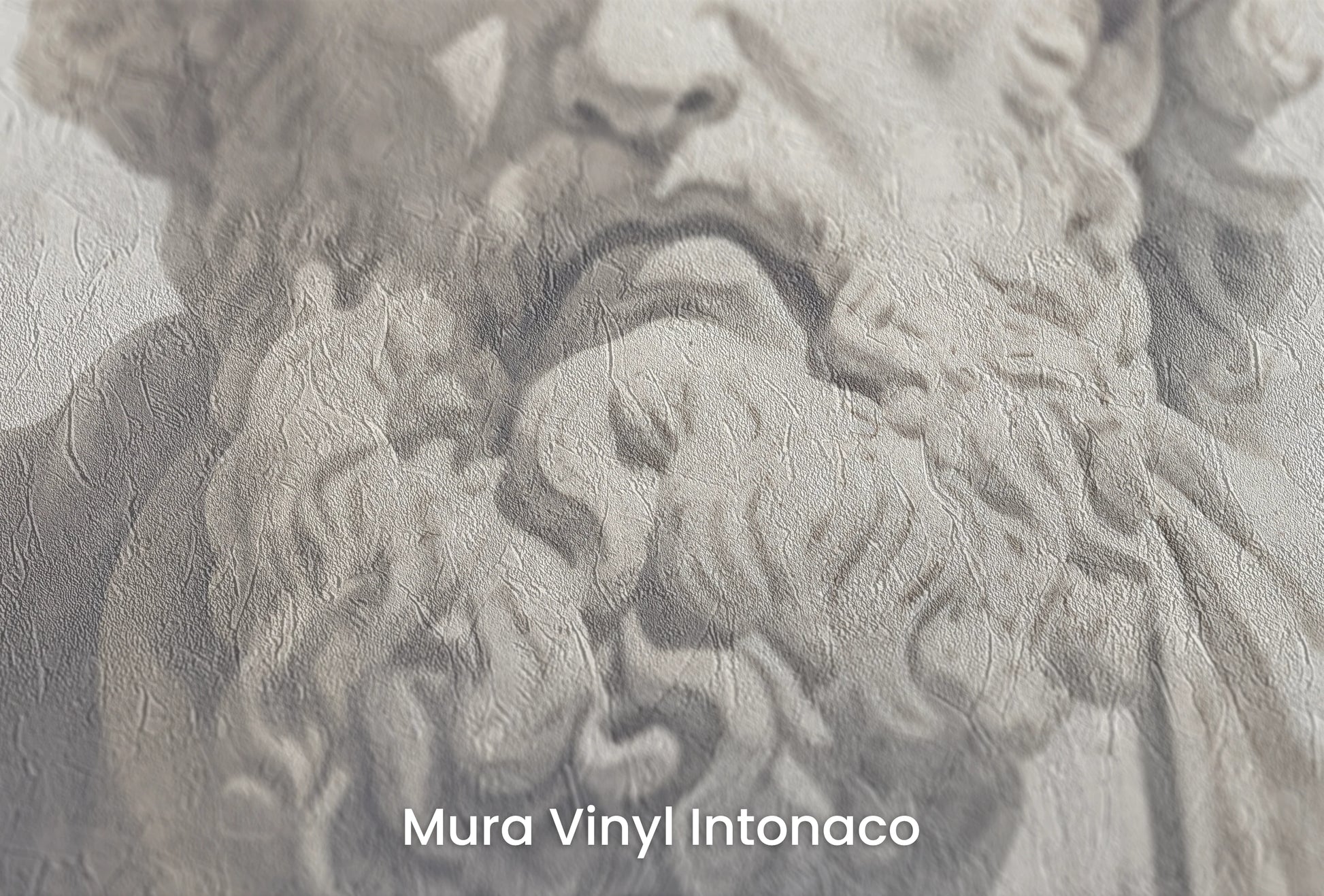 Zbliżenie na artystyczną fototapetę o nazwie Stoic Wisdom na podłożu Mura Vinyl Intonaco - struktura tartego tynku.