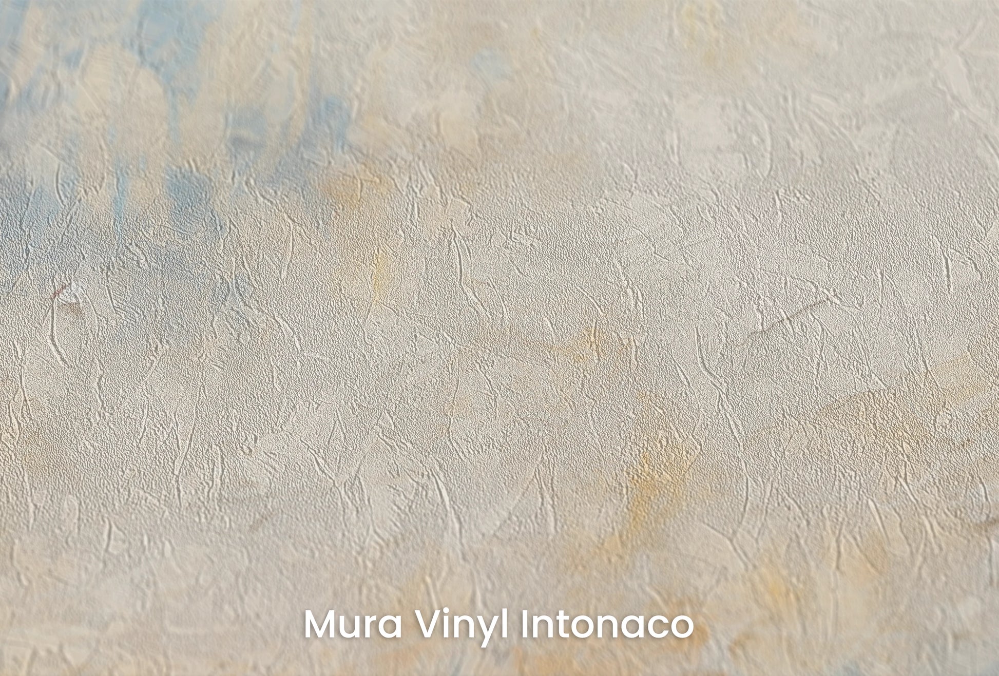 Zbliżenie na artystyczną fototapetę o nazwie Venusian Dawn na podłożu Mura Vinyl Intonaco - struktura tartego tynku.