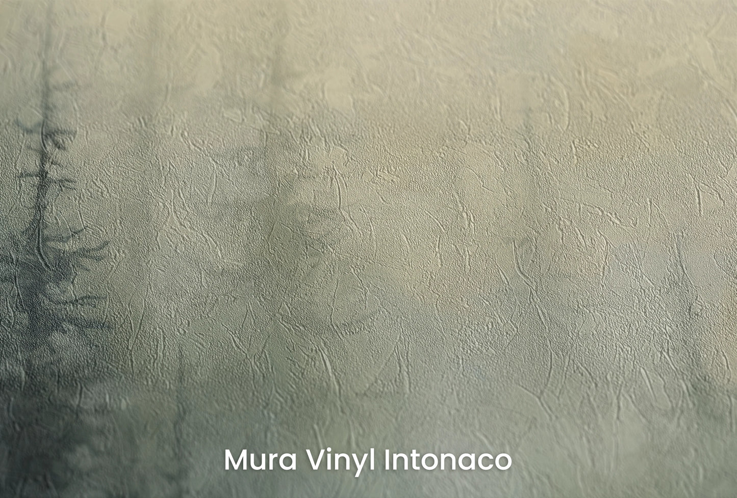 Zbliżenie na artystyczną fototapetę o nazwie Zmrok w Lesie na podłożu Mura Vinyl Intonaco - struktura tartego tynku.