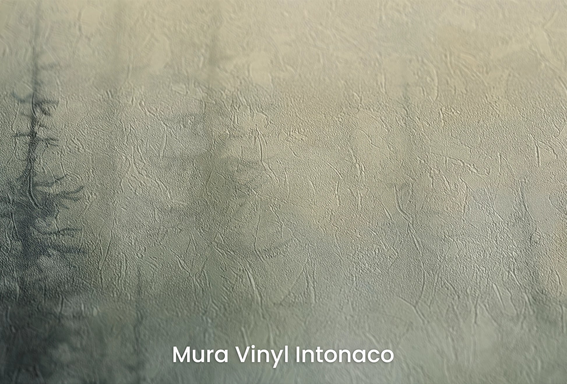 Zbliżenie na artystyczną fototapetę o nazwie Zmrok w Lesie na podłożu Mura Vinyl Intonaco - struktura tartego tynku.