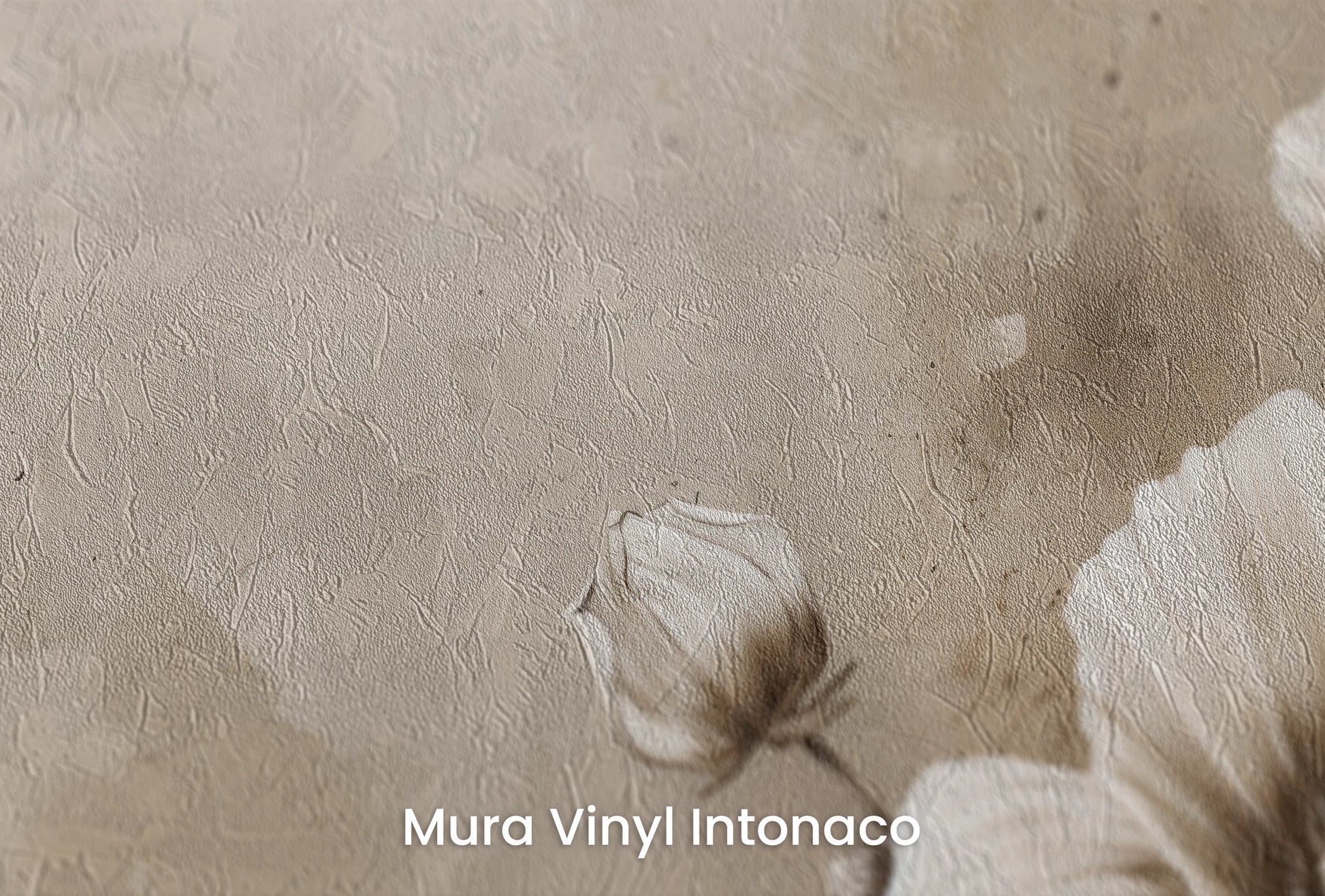 Zbliżenie na artystyczną fototapetę o nazwie Modern Purity na podłożu Mura Vinyl Intonaco - struktura tartego tynku.