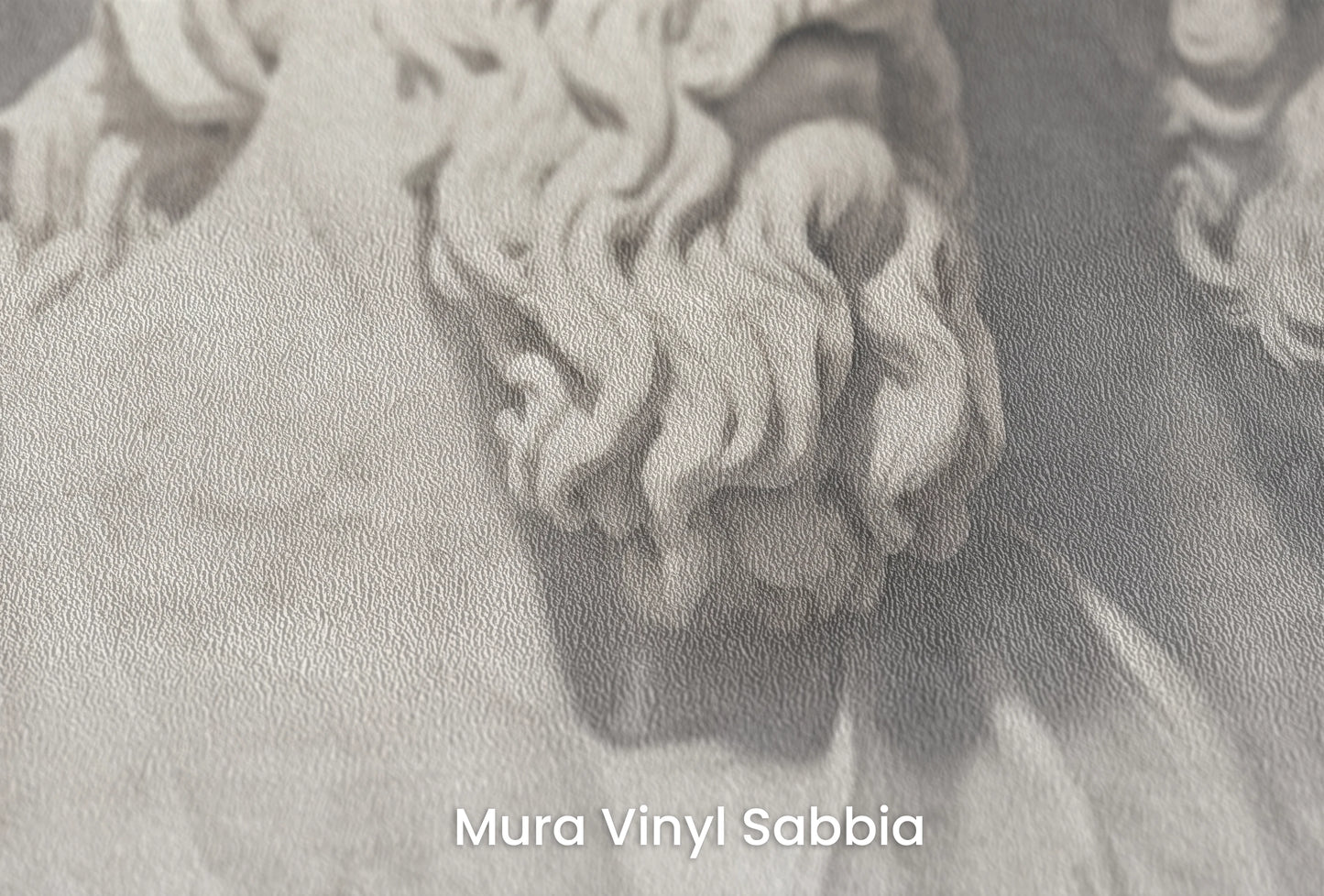 Zbliżenie na artystyczną fototapetę o nazwie Divine Gaze na podłożu Mura Vinyl Sabbia struktura grubego ziarna piasku.