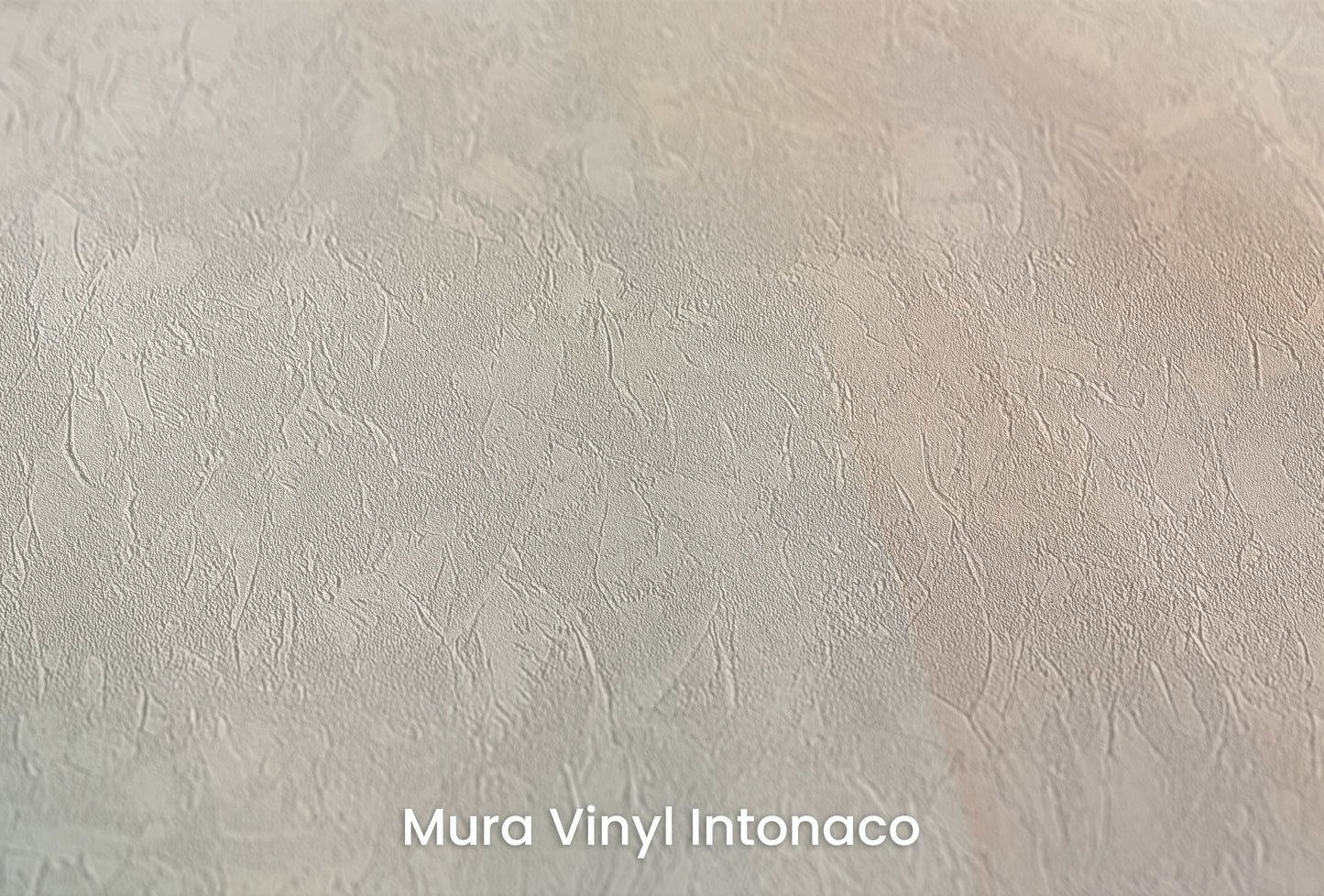 Zbliżenie na artystyczną fototapetę o nazwie Soft Elegance #2 na podłożu Mura Vinyl Intonaco - struktura tartego tynku.