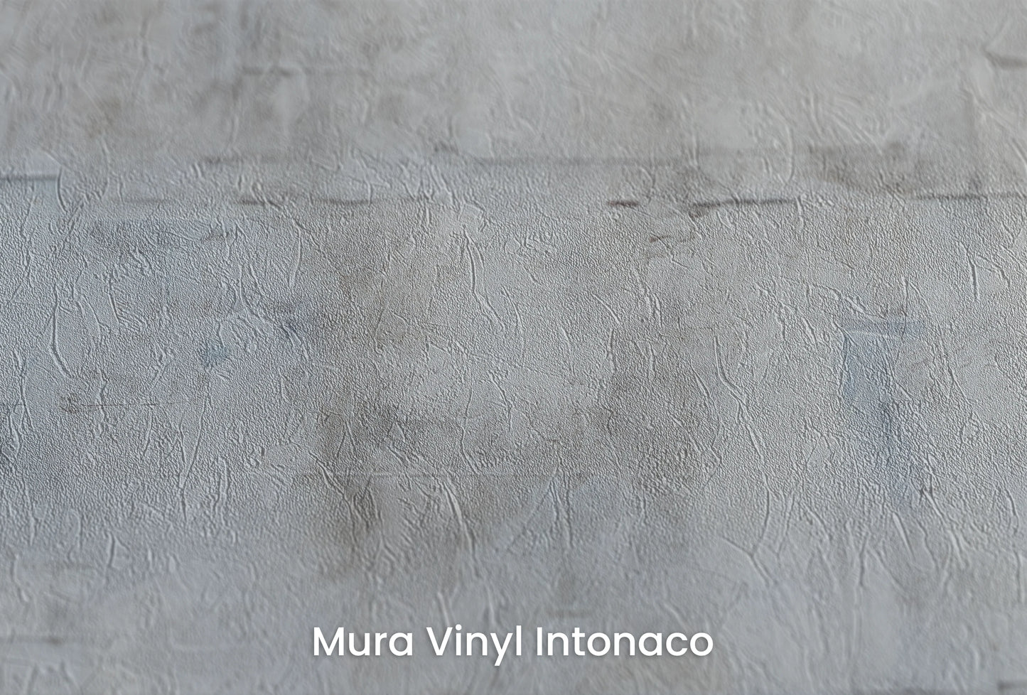 Zbliżenie na artystyczną fototapetę o nazwie Vintage Canvas na podłożu Mura Vinyl Intonaco - struktura tartego tynku.
