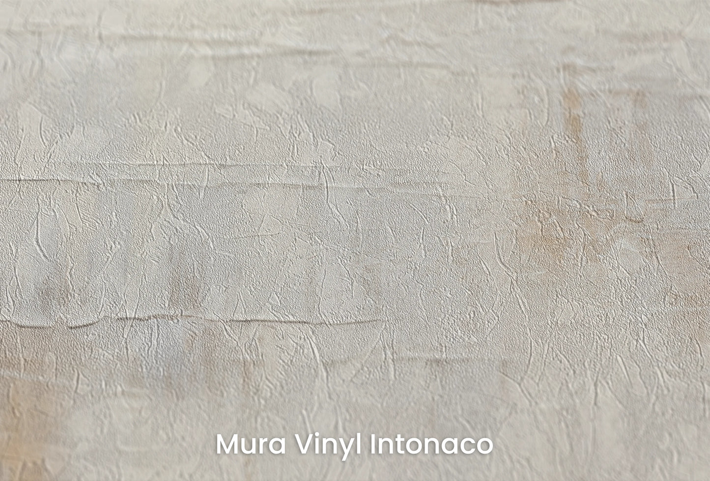 Zbliżenie na artystyczną fototapetę o nazwie Ivory Brush na podłożu Mura Vinyl Intonaco - struktura tartego tynku.