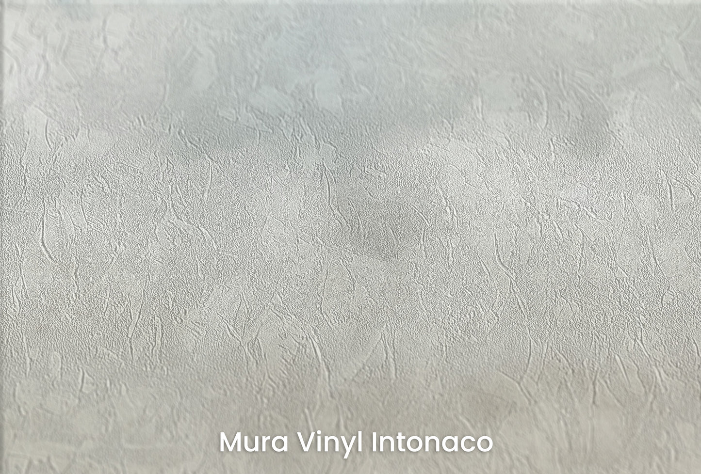 Zbliżenie na artystyczną fototapetę o nazwie SKY WHISPERS na podłożu Mura Vinyl Intonaco - struktura tartego tynku.