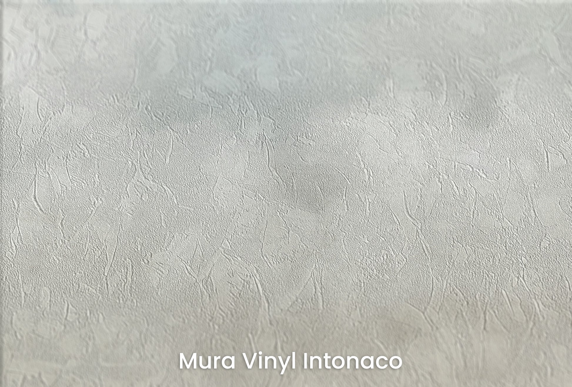 Zbliżenie na artystyczną fototapetę o nazwie SKY WHISPERS na podłożu Mura Vinyl Intonaco - struktura tartego tynku.